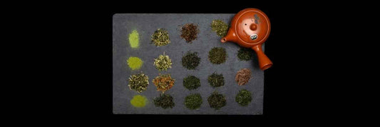 El mejor té para principiantes seleccionado por expertos