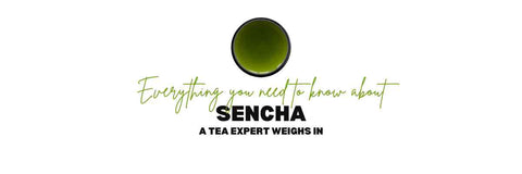 Todo lo que necesitas saber sobre Sencha