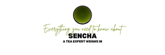 Todo lo que necesitas saber sobre Sencha