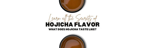 Hojicha Sabor aprende lo que hace Hojicha sabe a