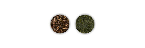oolong frente a Sencha