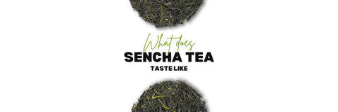 ¿qué Significa? Sencha El Sabor Del Té Es Similar