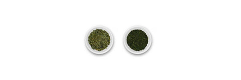 bancha vs sencha leafs