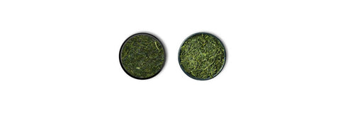 fukamushi contra Sencha