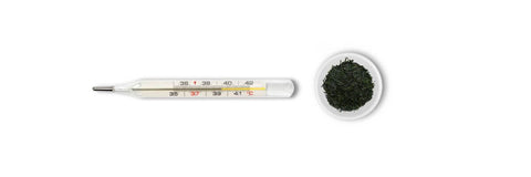 Gyokuro temperatura de preparación