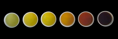 Colores Del Té