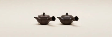Tokoname Kyusu vs Banko Kyusu