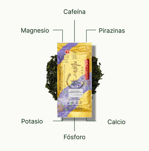 6ad63d24541ba_nio-teas-pan-fired-kamairicha-miyazaki-sabou-nutritional-benefits_a623a65f-b242-4785-8e1c-f09e57976b95_es.webp