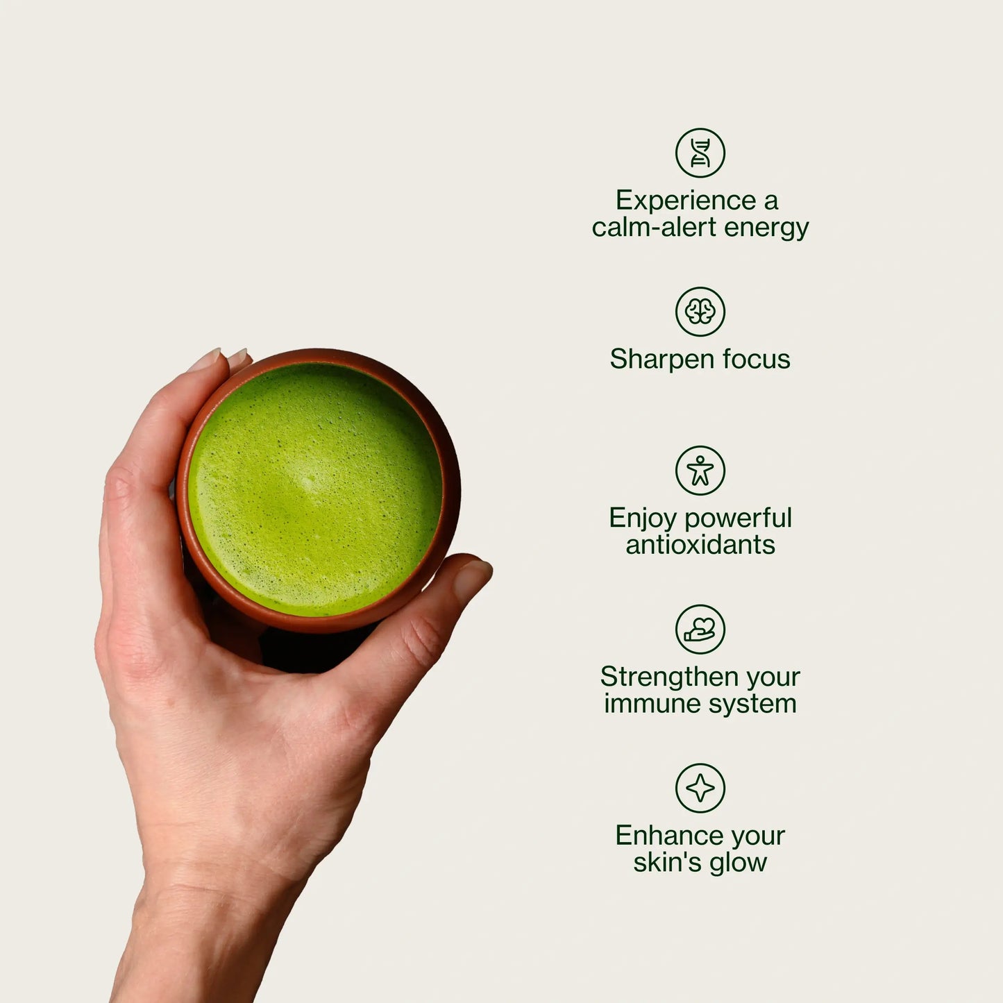 Polvo De Matcha Latte Premium