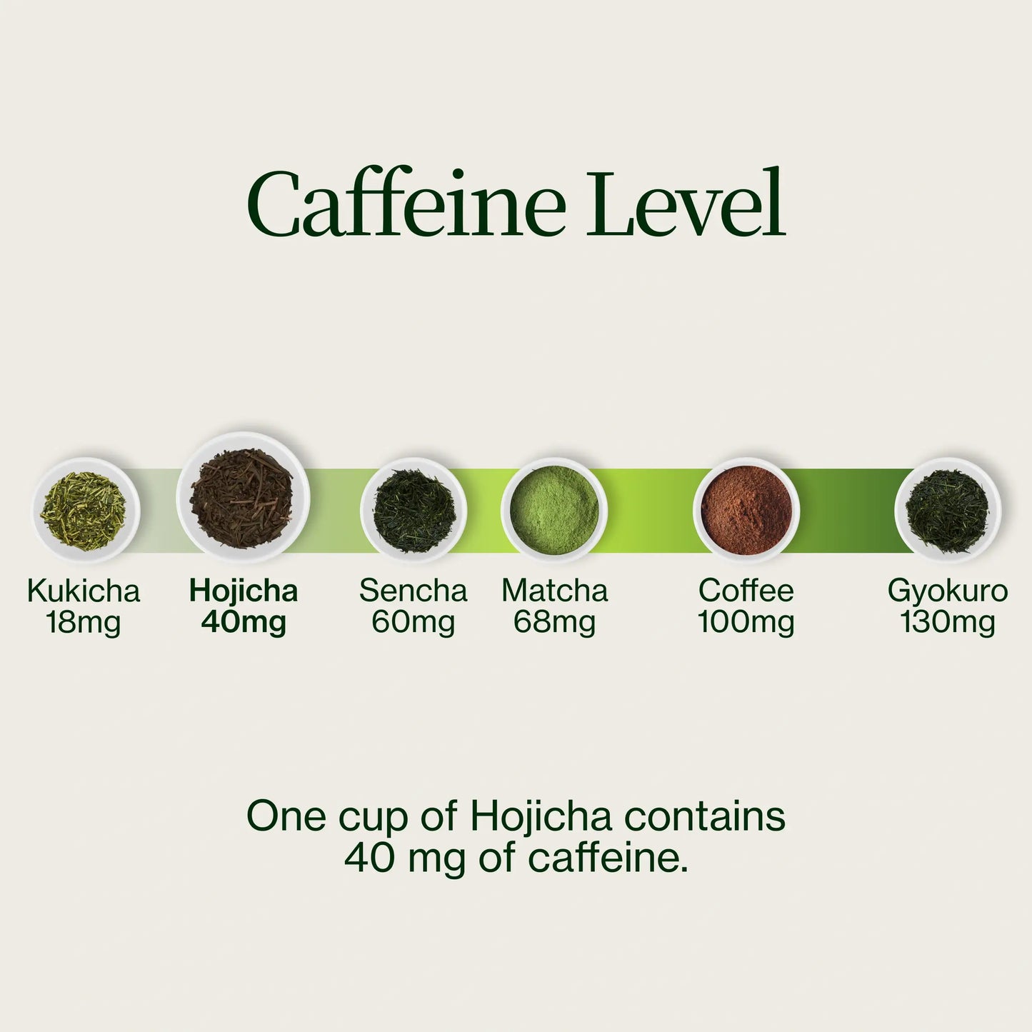 Hojicha Polvo