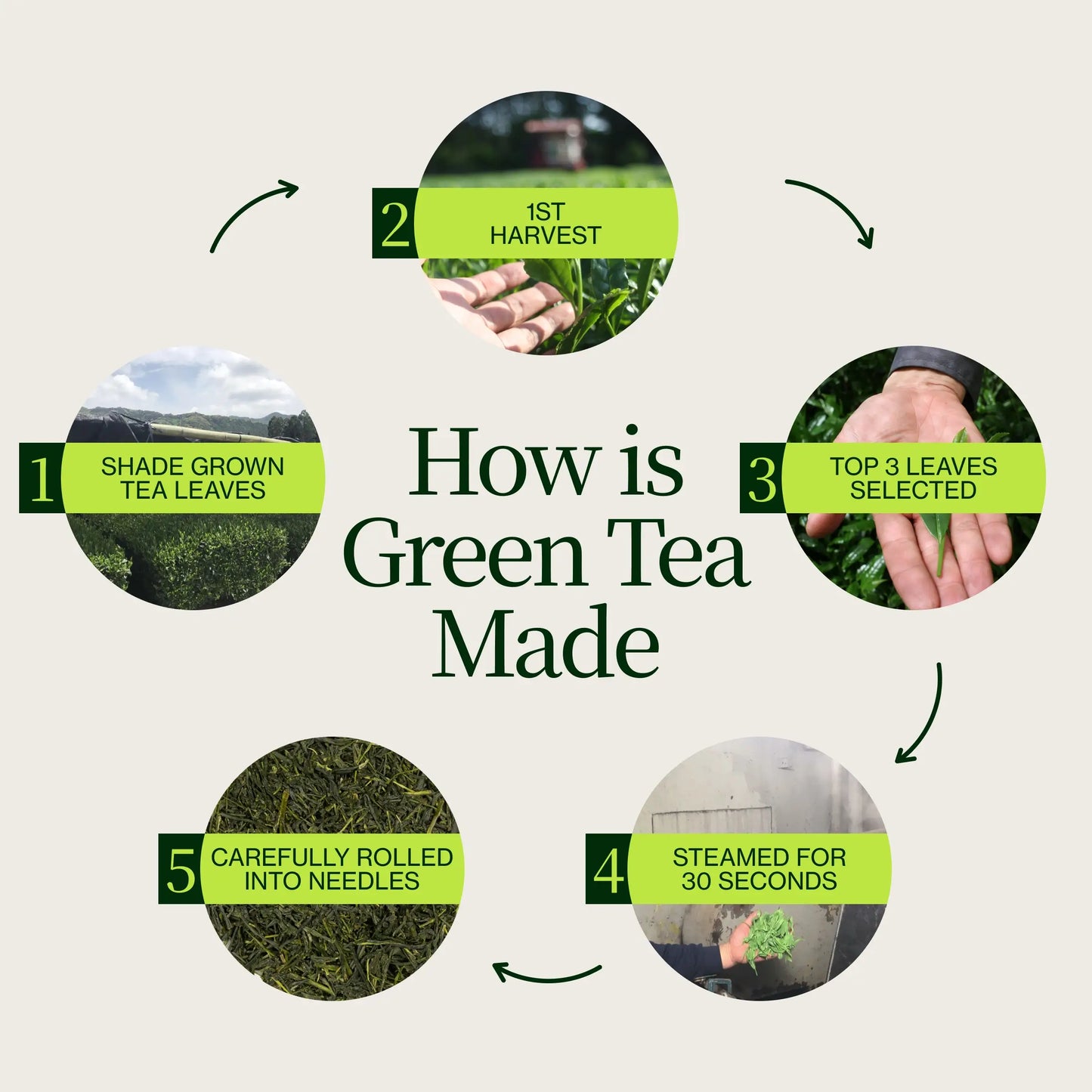 22 muestras de té con tetera
