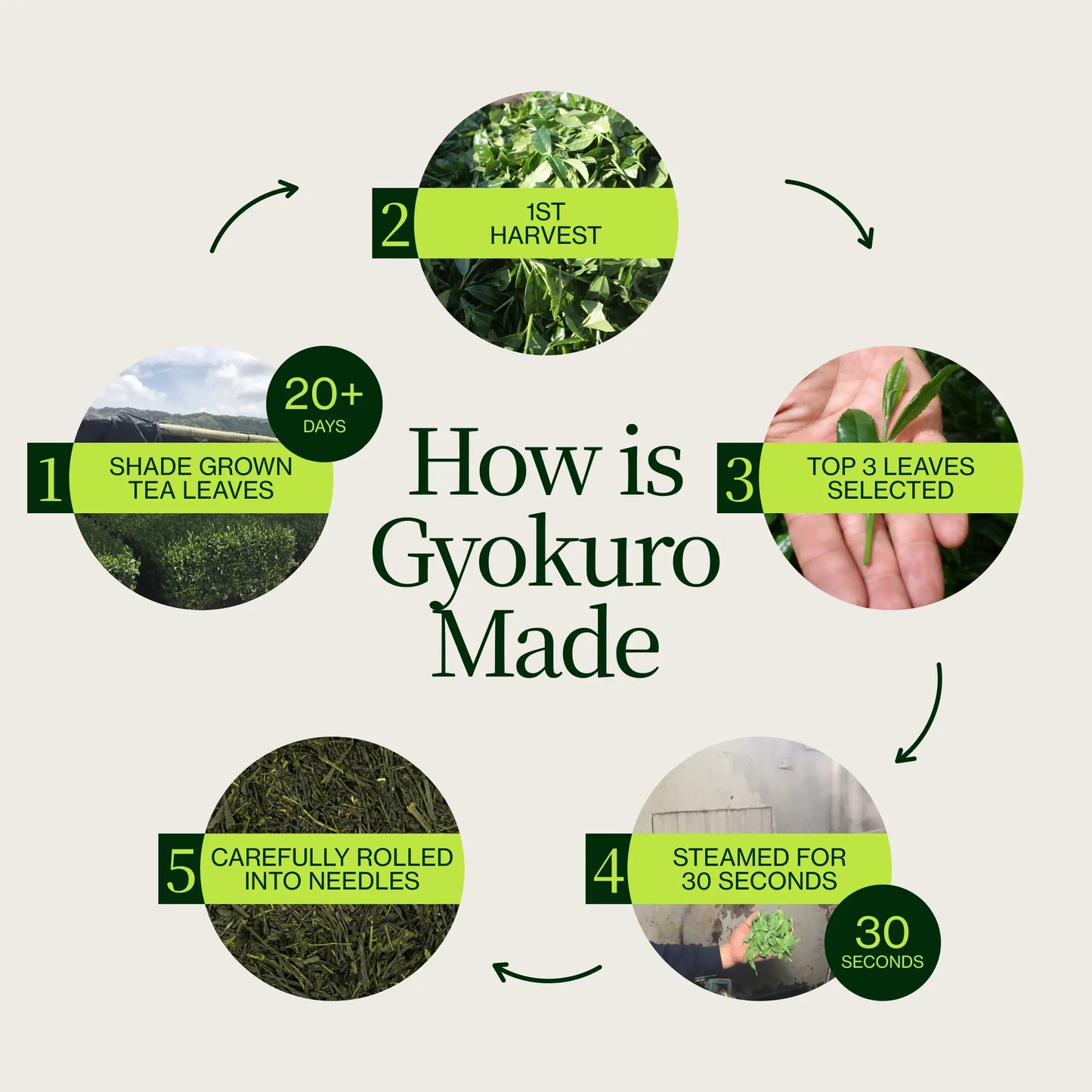 Gyokuro Té Verde Imperial Cha Musume