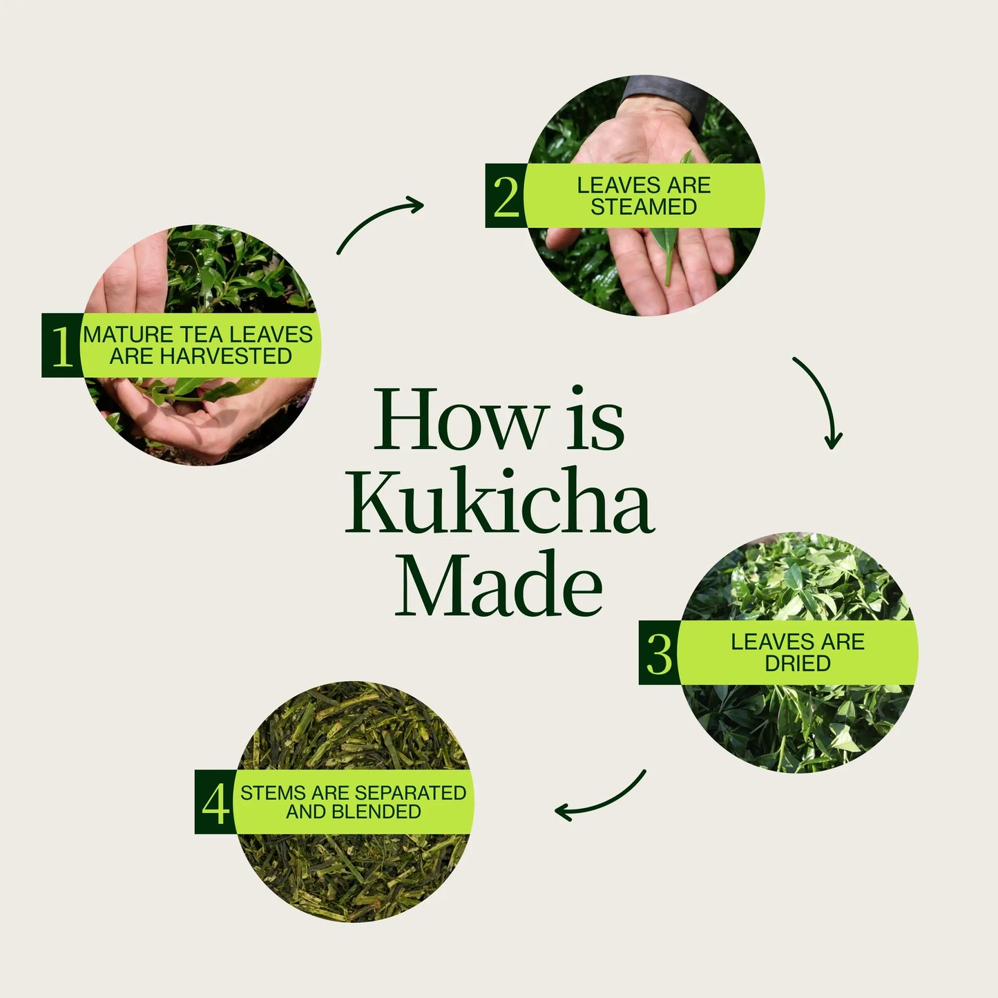 Té Verde Chanoka Kukicha