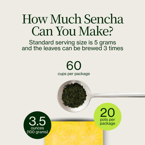 Sencha Dorada Yabukita Kasugaen