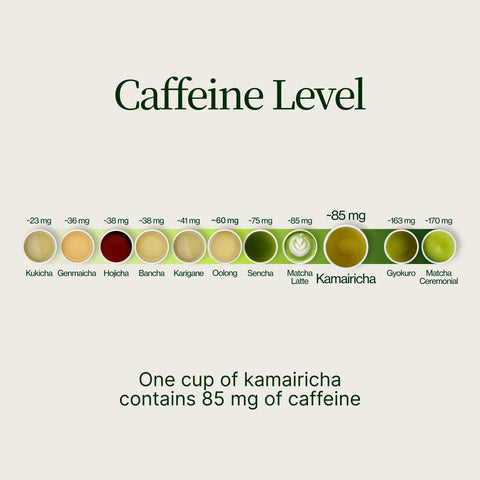 Chanoka Kamairicha Té verde a granel