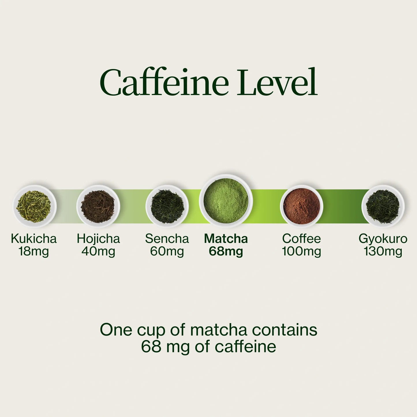 Polvo De Matcha Latte Premium