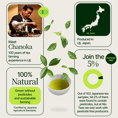 Té fermentado japonés Nadeshiko Rose