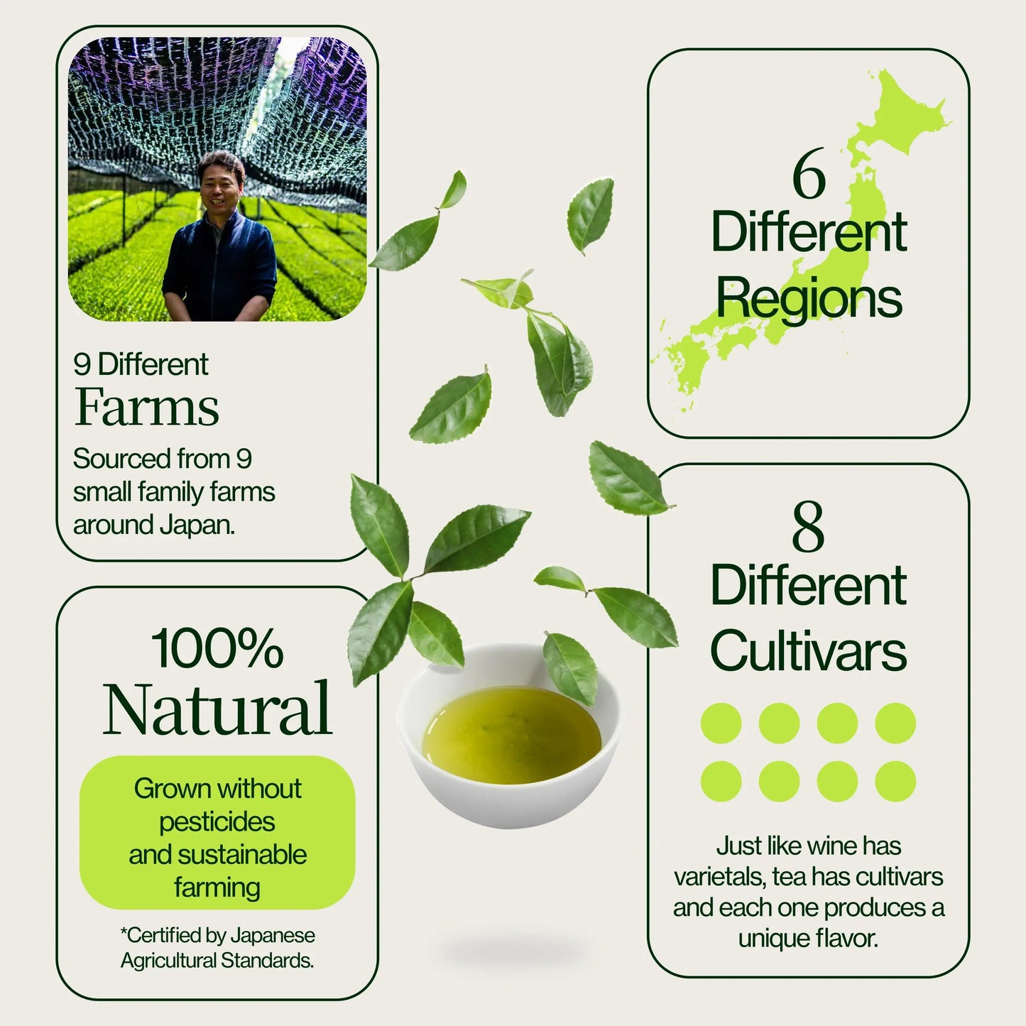 22 muestras de té con tetera