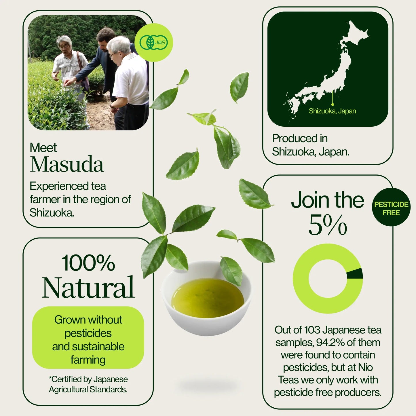 Polvo De Matcha Latte Premium