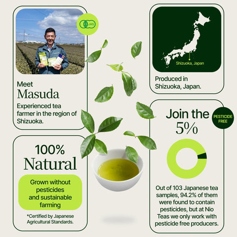 Té verde con palomitas de maíz Genmaicha