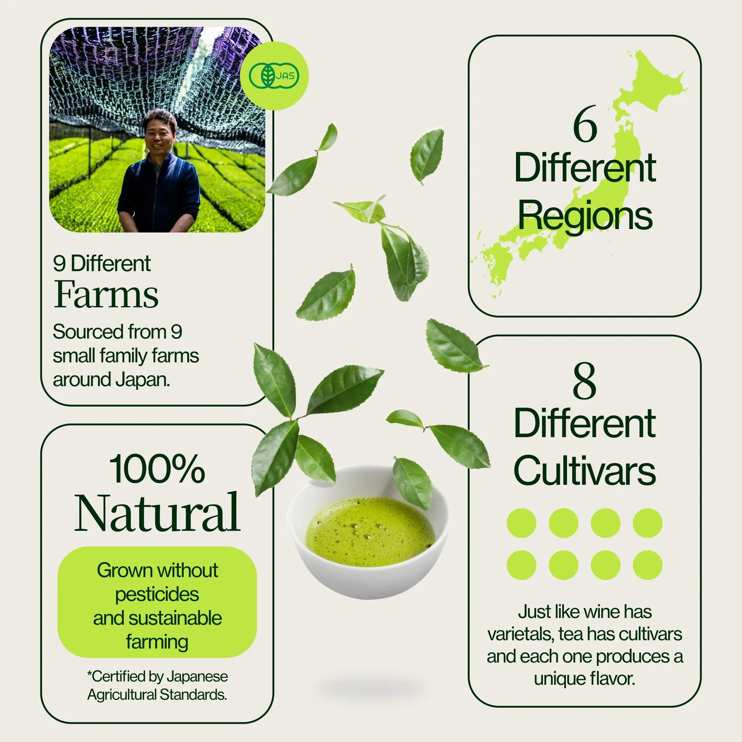 Muestra de té matcha (paquete de 21)