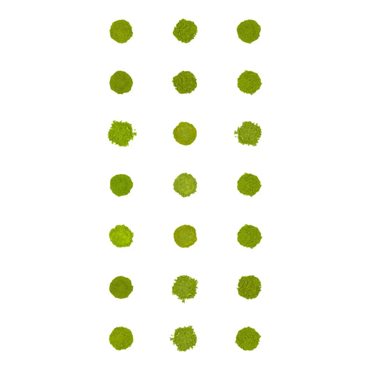 Muestra de té matcha (paquete de 21)