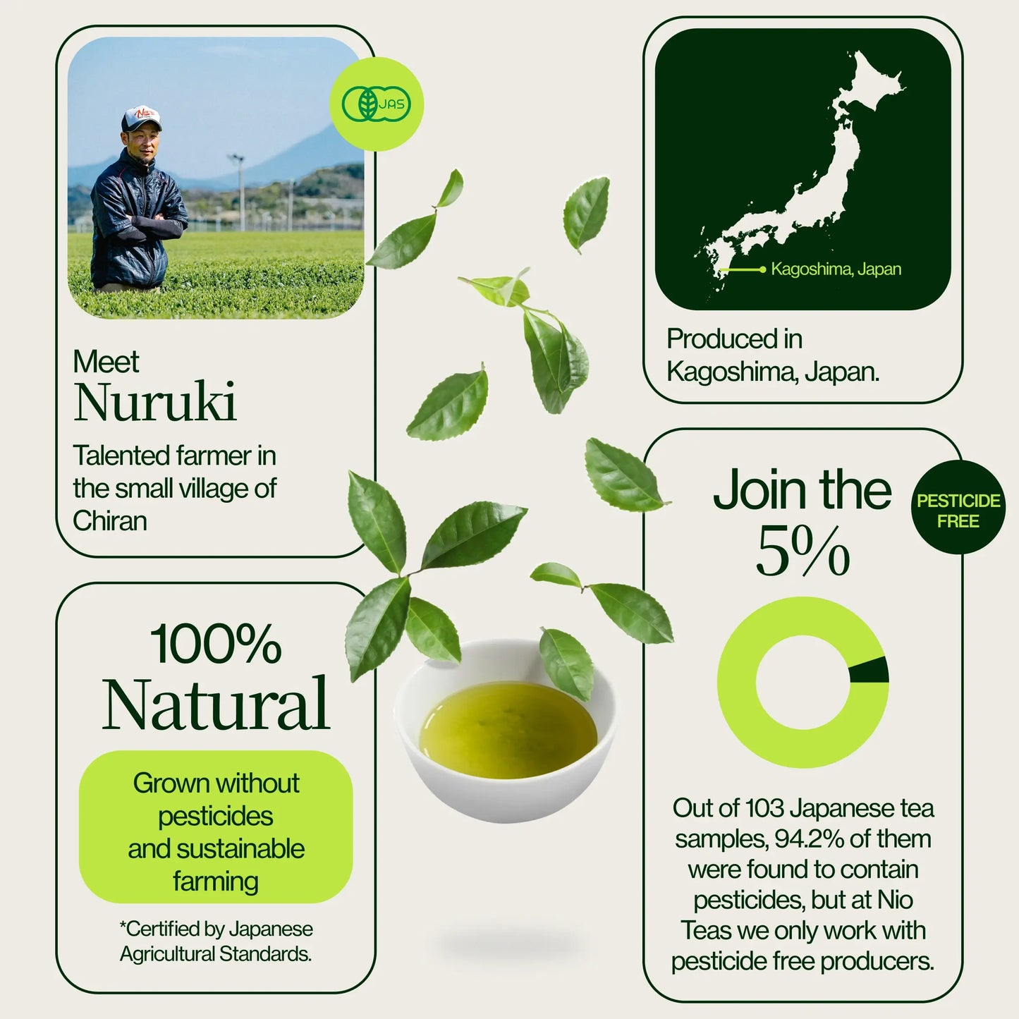 Sencha Shizuku con Matcha en polvo