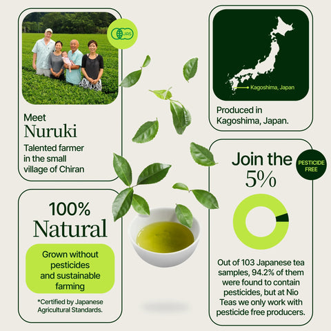 Té verde Matcha Chiran Matcha premium