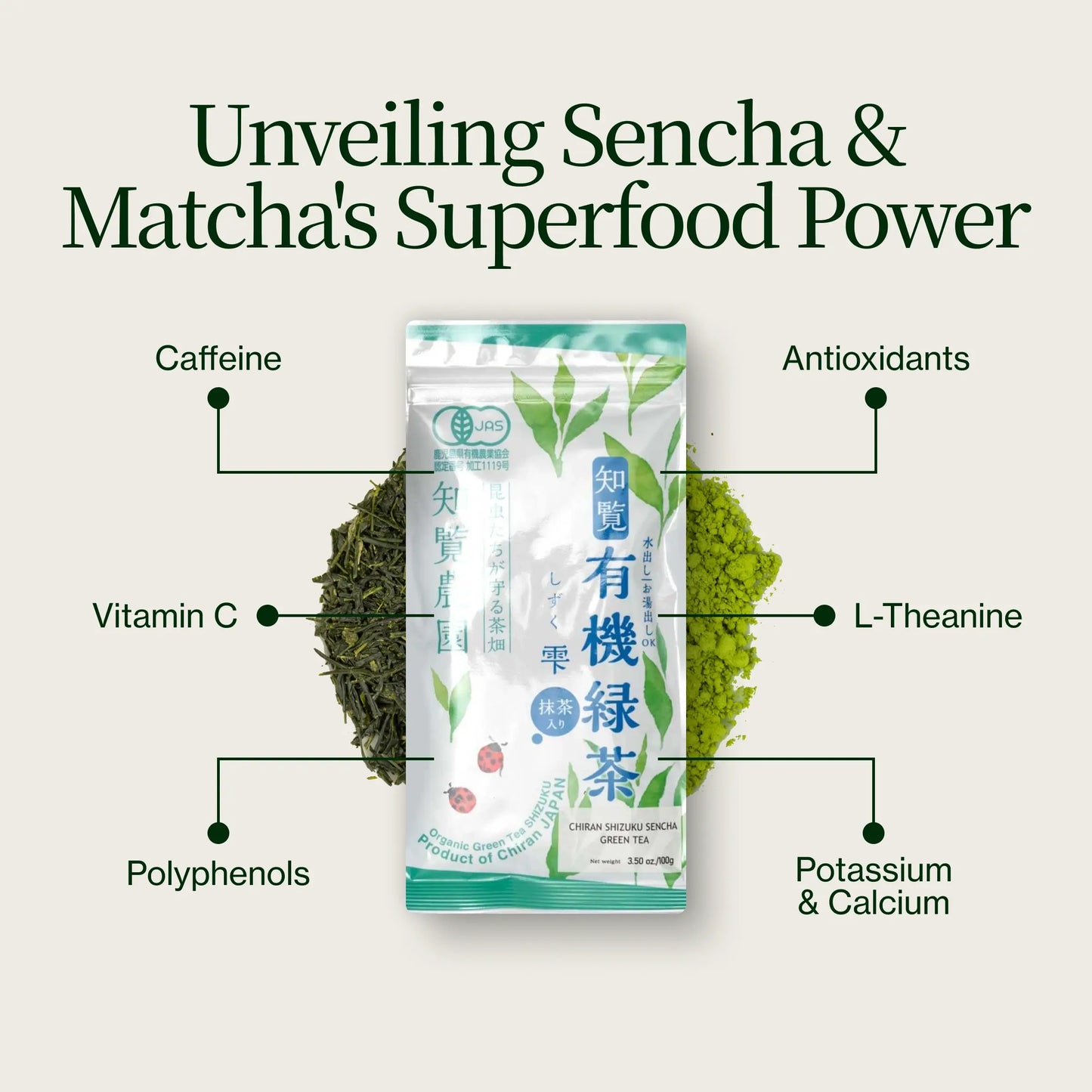 Sencha Shizuku con Matcha en polvo