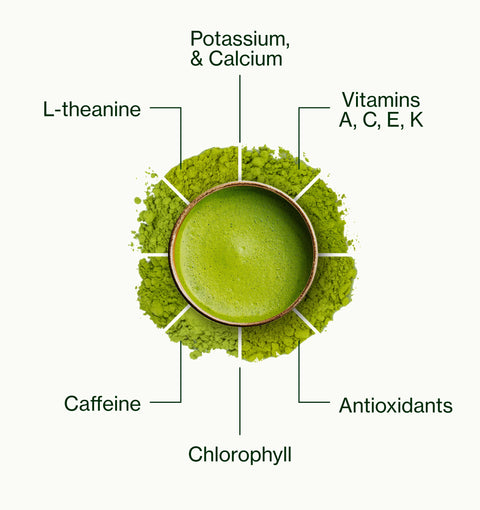 A centered infographic on a light off-white background showing a green powder circular sample with labels pointing to caffeine, L-theanine, chlorophyll, potassium and calcium, antioxidants, and vitamins A, C, E, and K.