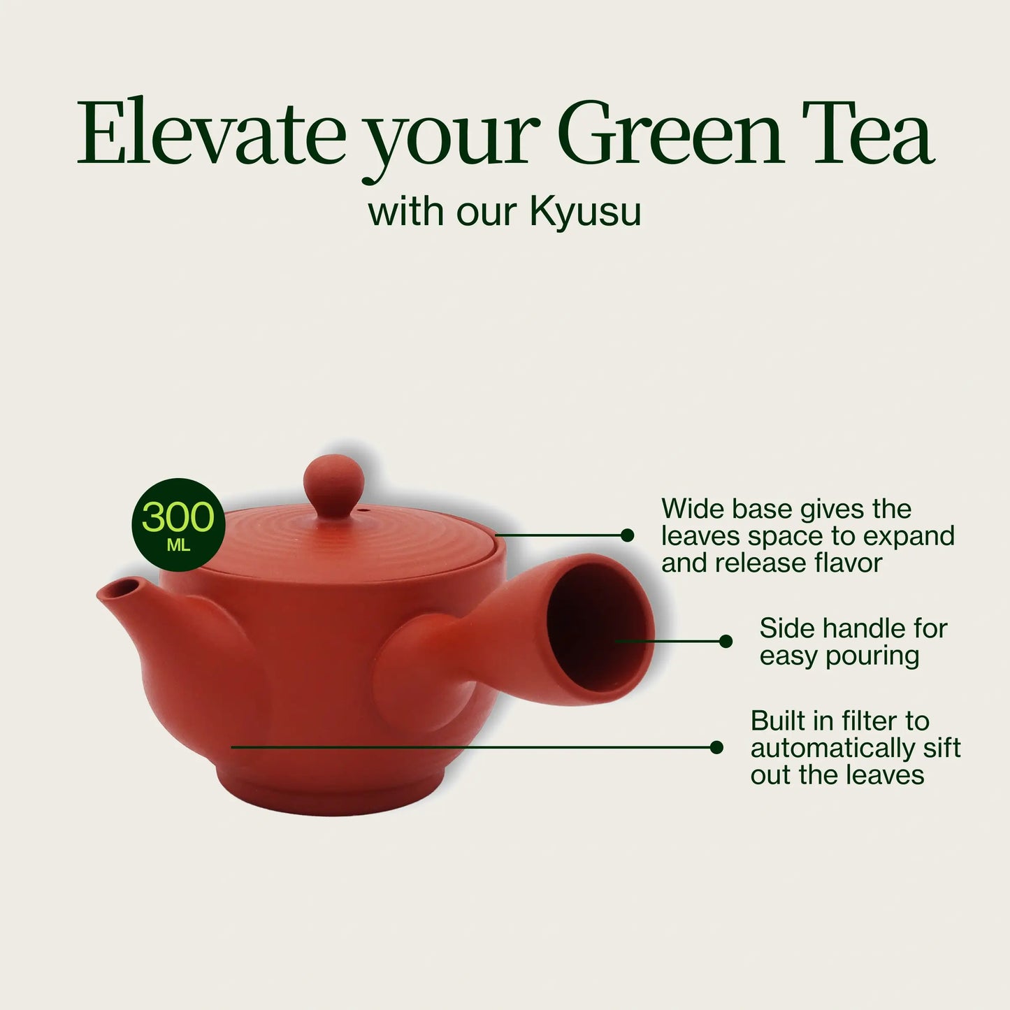 Tokoname Rojo Kyusu