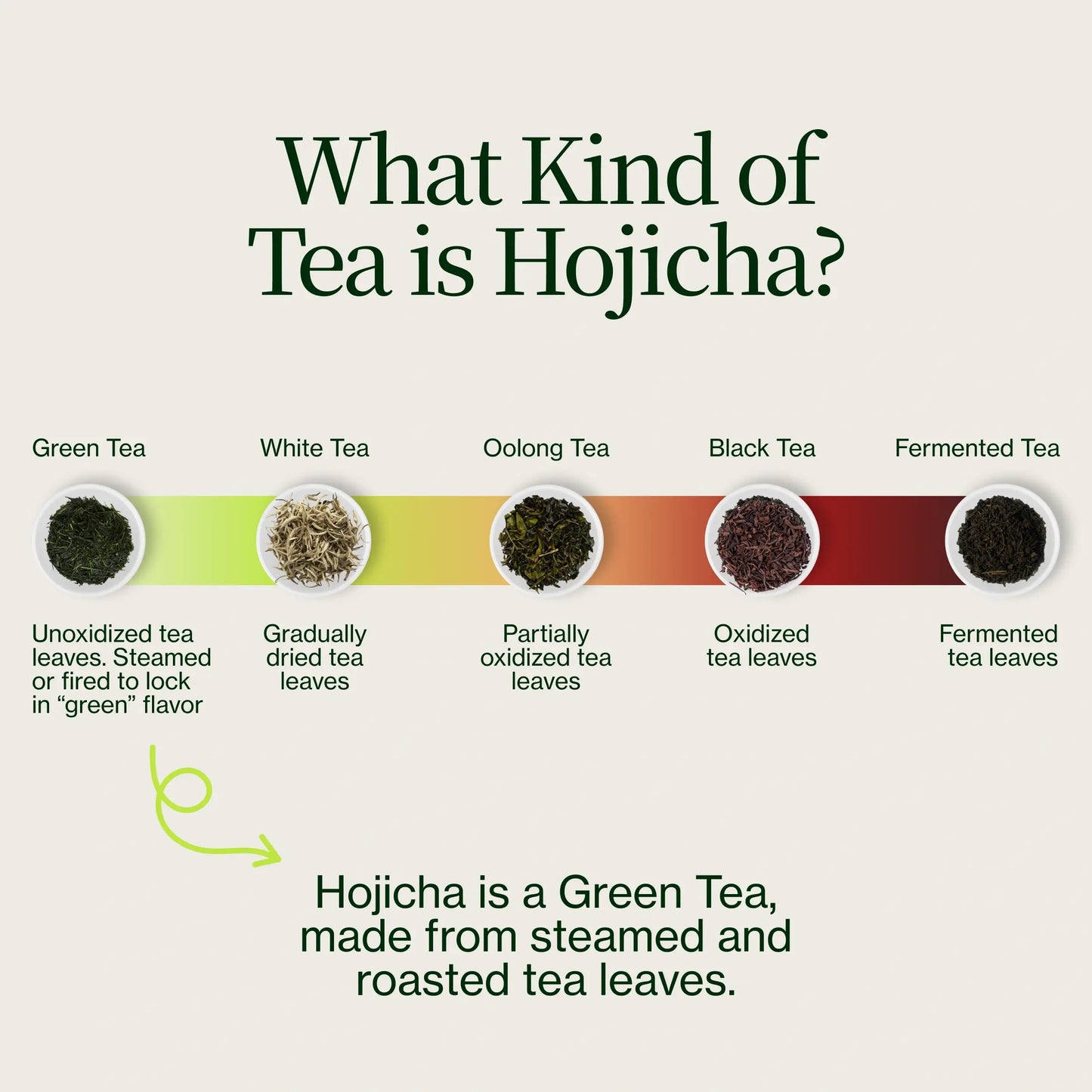 Hojicha Polvo