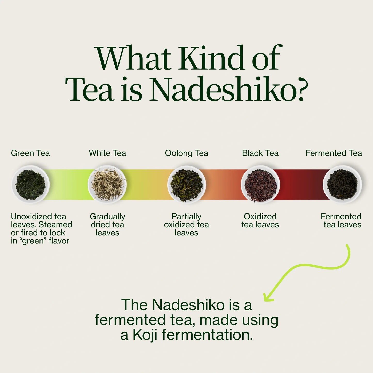 Té Japonés Fermentado De Rosa Nadeshiko