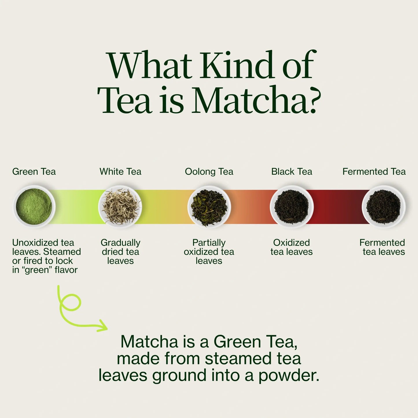 Polvo De Matcha Latte Premium