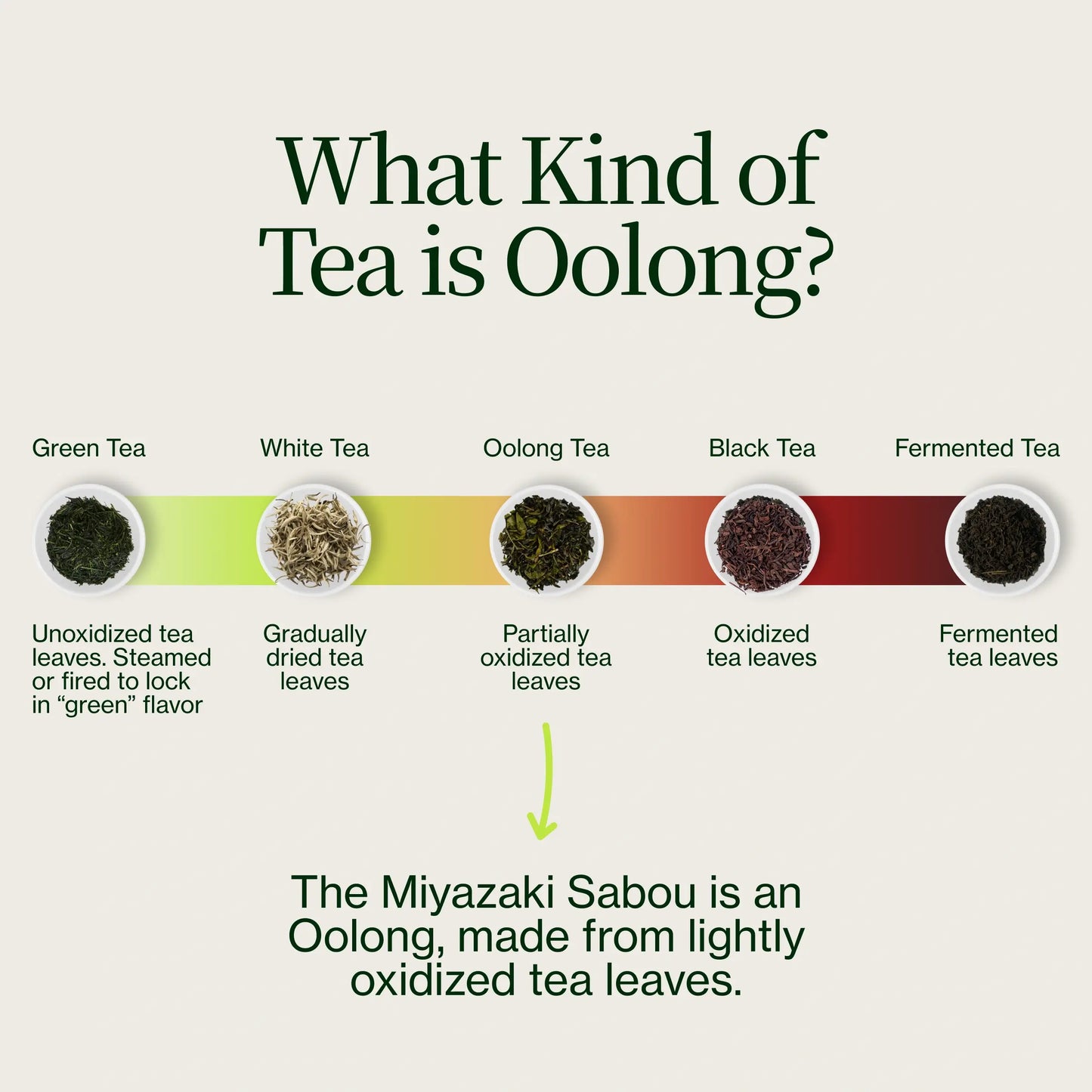 Té Oolong De Alta Montaña Miyazaki