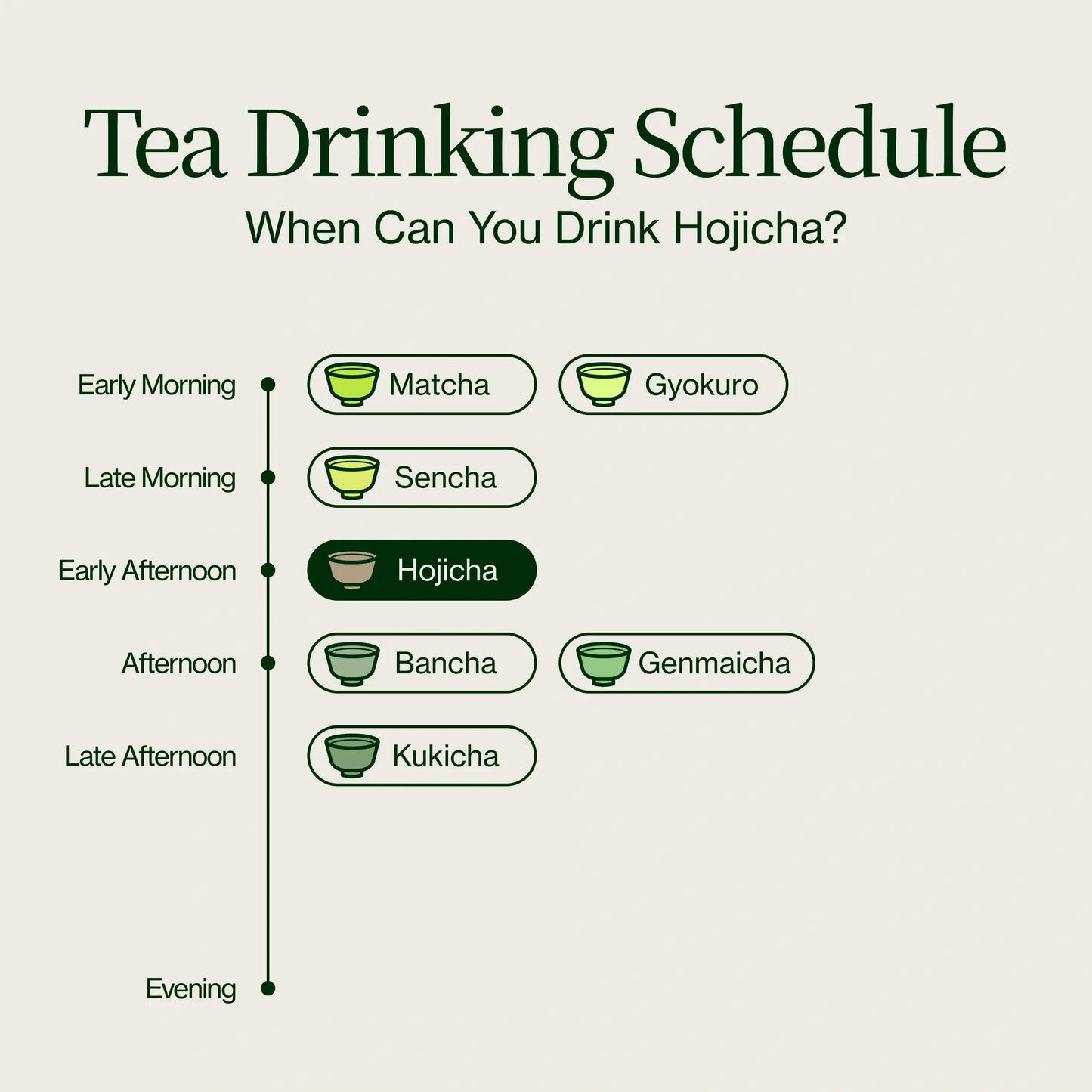 Hojicha Polvo