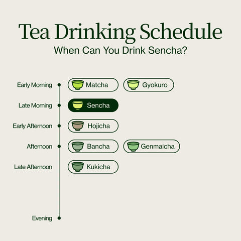 Sencha Dorada Yabukita Kasugaen