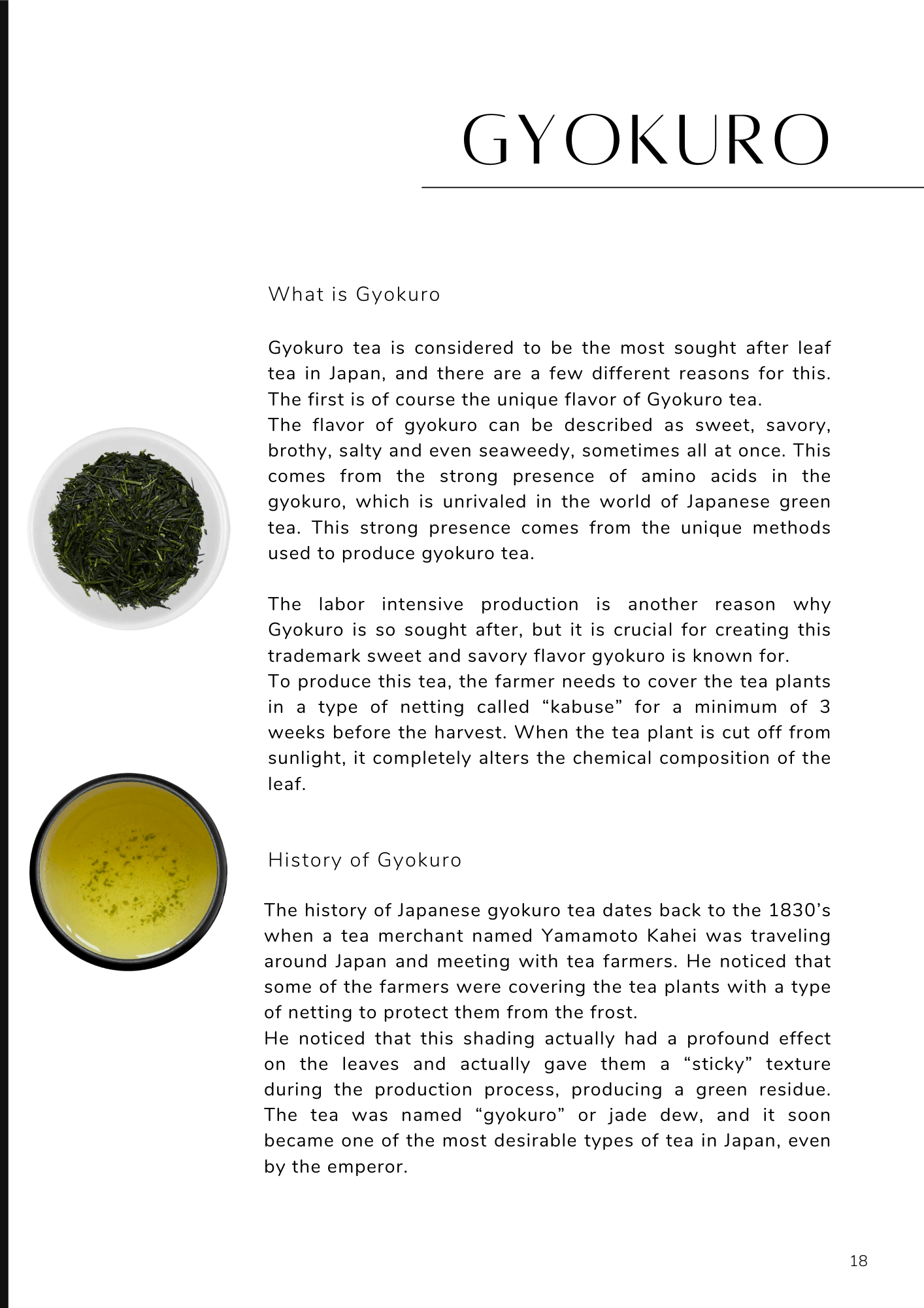 Secretos del té verde japonés: el libro definitivo sobre el té japonés