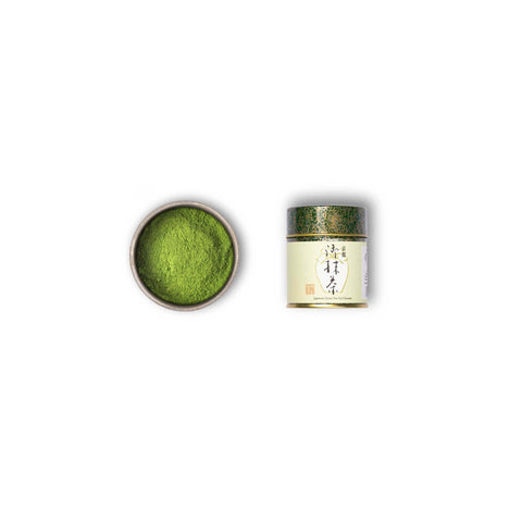 Club mensual de matcha con Batidor de matcha y Chashaku gratis.