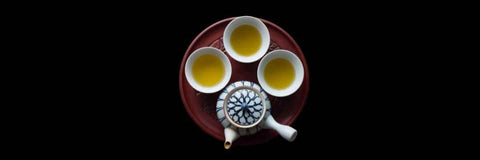 Guía completa de fertilizantes orgánicos para té.