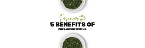 Fukamushi Sencha Beneficios Para La Salud