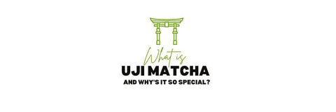 ¿Qué es el Uji Matcha y por qué es el té más famoso?