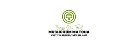 banner de blog sobre matcha de hongos con una nueva tendencia loca escrita sobre matcha de hongos, qué es, beneficios, sabor y más.