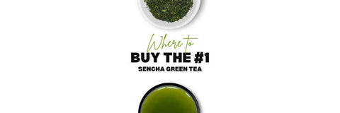 dónde comprar Sencha té