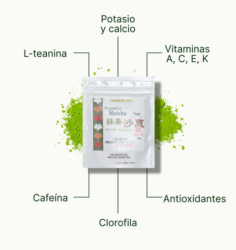 6ad63cf2c6bc2_nio_teas_matcha_tea_sakamoto_sae_superfood_es.webp