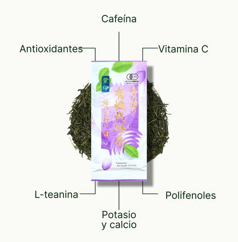 6ad63d0985fa0_nio-teas-fukamushi-sencha-kagoshima-murasaki-nutritional-benefits_b8accd4b-b315-4446-8079-fc8ea2b328c4_es.webp