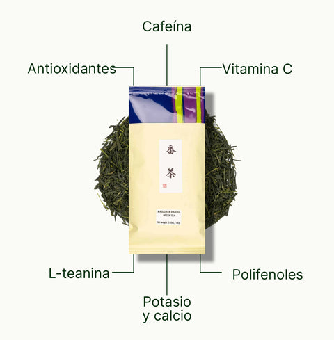 6ad63d0e4af91_nio-teas-bancha-nutritional-benefits_e0cd6599-85ca-4692-919d-1720f8a2c6e1_es.webp
