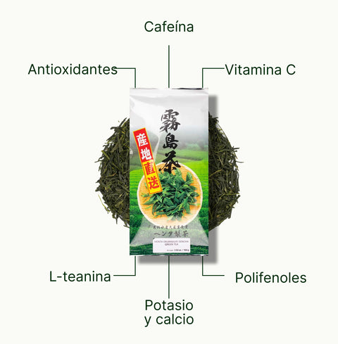 6ad63d160fd4c_nio-teas-sencha-okumidori-green-tea-nutritional-benefits_59c05332-aae2-4666-8df2-cf4a7bfcea3b_es.webp