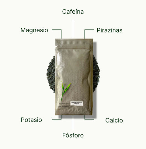 6ad63d235ef18_nio-teas-chanoka-kamairicha-loose-leaf-green-tea-nutritional-benefits_be68c2d6-9893-43ad-97b9-eb2aef3a8f6a_es.webp