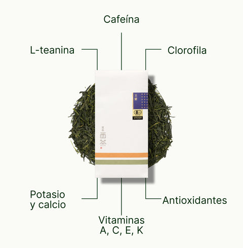 6ad63d31b7f06_nio-teas-nishi-gyokuro-saemidori-kagoshima-nutritional-benefits_a82f7198-6bac-4997-82c8-57a250ce4918_es.webp